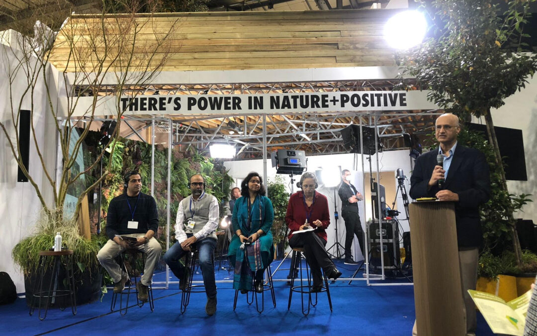 An abundance of co-benefits, NbS for livelihoods, nutritional outcomes, ecosystem services and employment | Nature Zone Pavillion