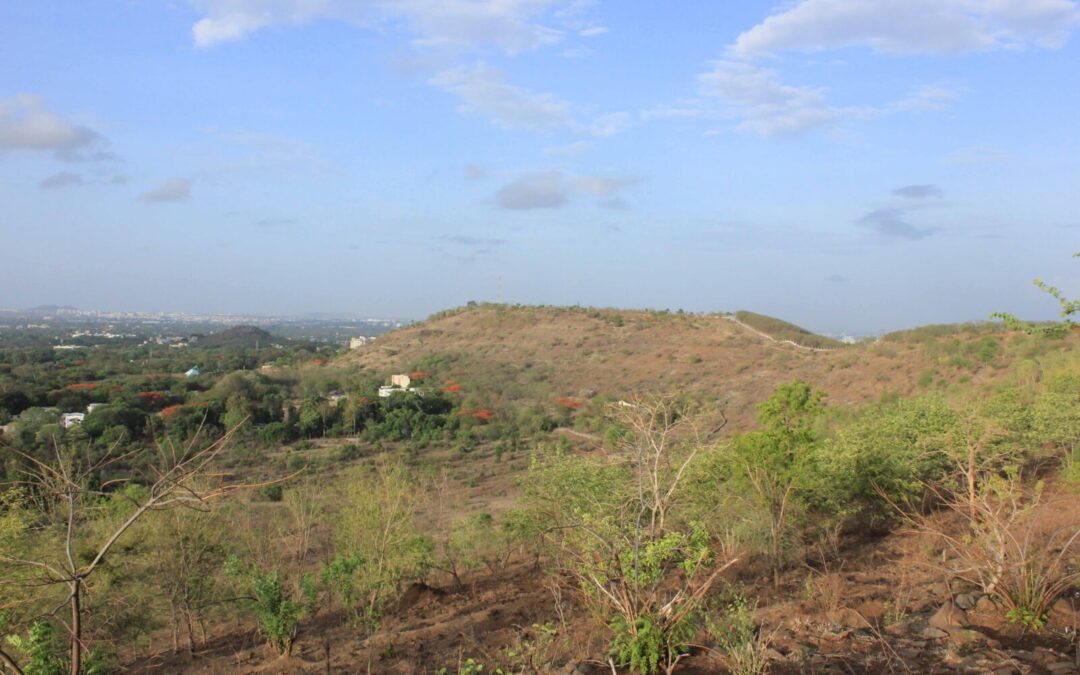 Open Savannahs Versus Wooded Thickets – What’s the Future for Pune’s Hills?