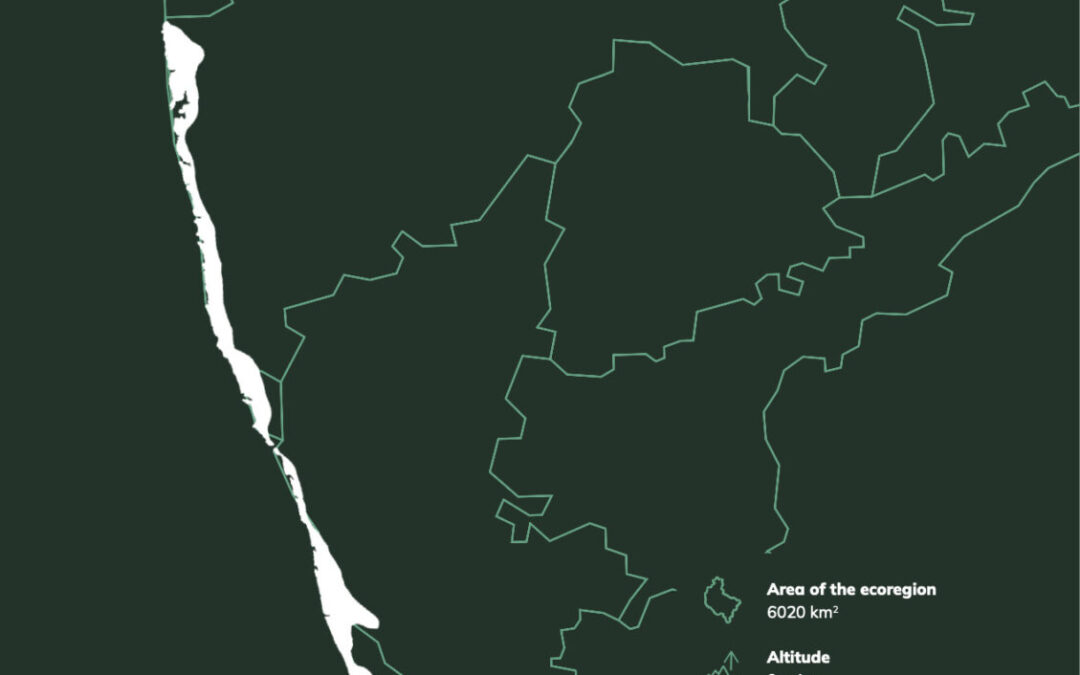 Malabar Coast Moist Forests
