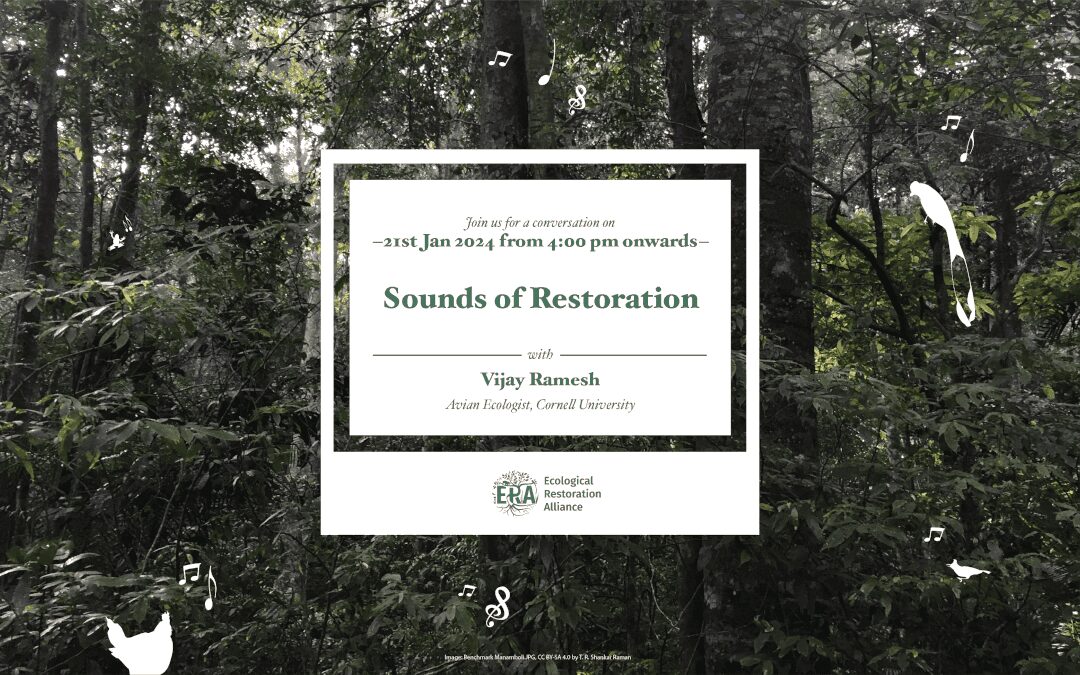 Sounds of Restoration: Using Bio-acoustics to Monitor Faunal Recovery by Vijay Ramesh